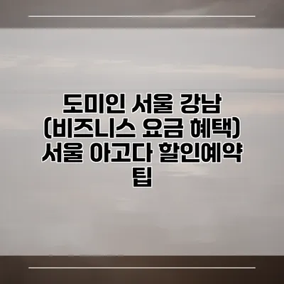 도미인 서울 강남 (비즈니스 요금 혜택) 서울 아고다 할인예약 팁