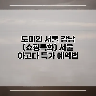 도미인 서울 강남 (쇼핑특화) 서울 아고다 특가 예약법