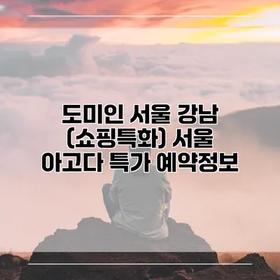도미인 서울 강남 (쇼핑특화) 서울 아고다 특가 예약정보