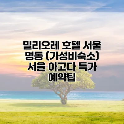 밀리오레 호텔 서울 명동 (가성비숙소) 서울 아고다 특가 예약팁