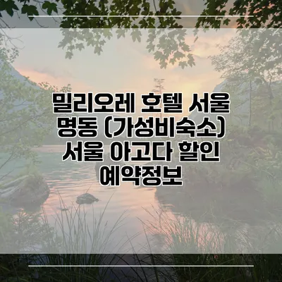 밀리오레 호텔 서울 명동 (가성비숙소) 서울 아고다 할인 예약정보