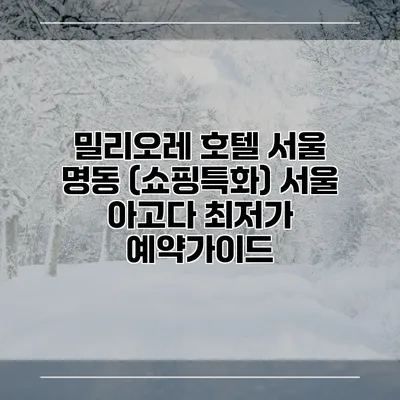 밀리오레 호텔 서울 명동 (쇼핑특화) 서울 아고다 최저가 예약가이드