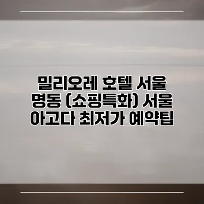 밀리오레 호텔 서울 명동 (쇼핑특화) 서울 아고다 최저가 예약팁