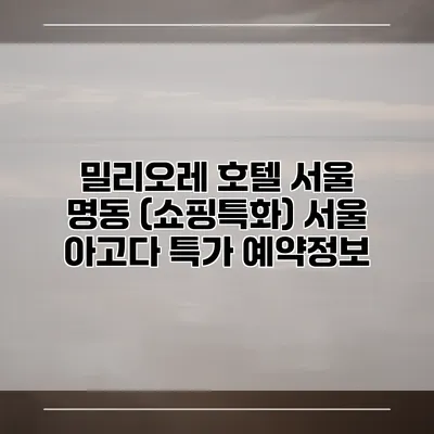 밀리오레 호텔 서울 명동 (쇼핑특화) 서울 아고다 특가 예약정보