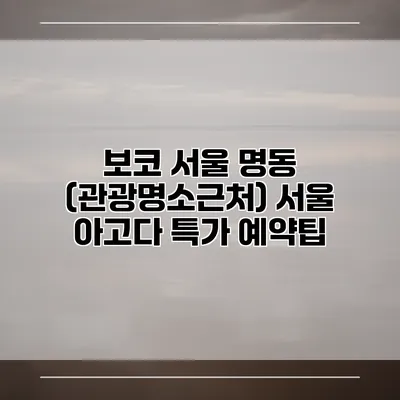 보코 서울 명동 (관광명소근처) 서울 아고다 특가 예약팁