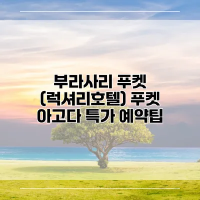 부라사리 푸켓 (럭셔리호텔) 푸켓 아고다 특가 예약팁
