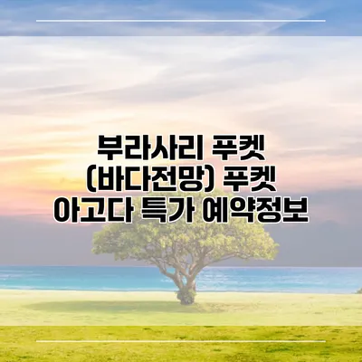 부라사리 푸켓 (바다전망) 푸켓 아고다 특가 예약정보