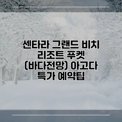 센타라 그랜드 비치 리조트 푸켓 (바다전망) 아고다 특가 예약팁