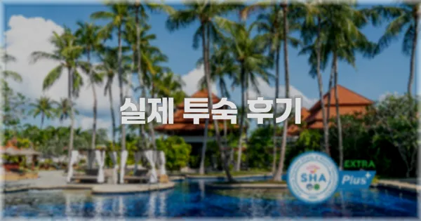 💬 실제 투숙 후기