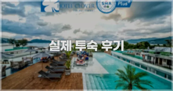 💬 실제 투숙 후기