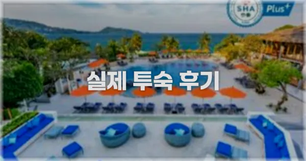 💬 실제 투숙 후기