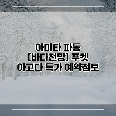 아마타 파통 (바다전망) 푸켓 아고다 특가 예약정보