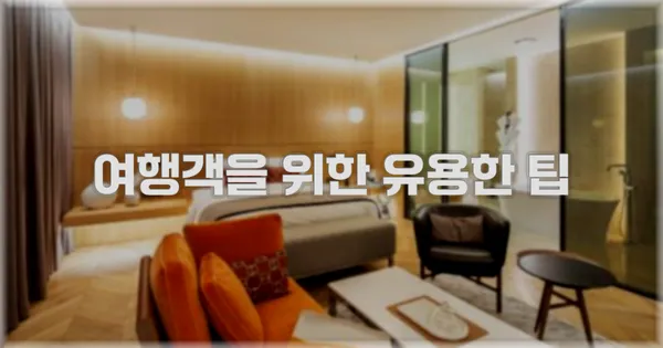 여행객을 위한 유용한 팁