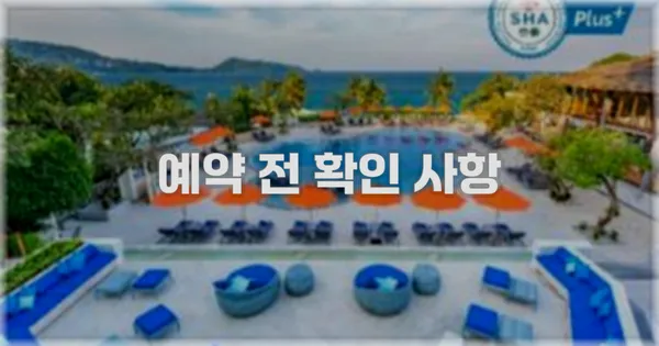 예약 전 확인 사항