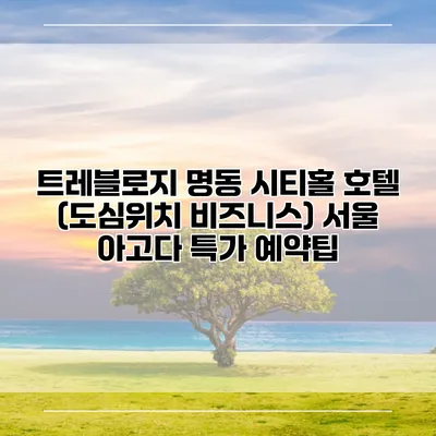 트레블로지 명동 시티홀 호텔 (도심위치 비즈니스) 서울 아고다 특가 예약팁