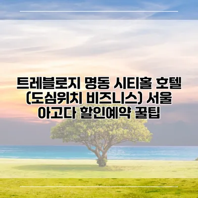 트레블로지 명동 시티홀 호텔 (도심위치 비즈니스) 서울 아고다 할인예약 꿀팁