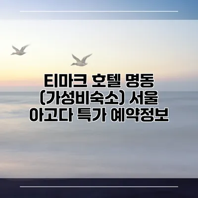 티마크 호텔 명동 (가성비숙소) 서울 아고다 특가 예약정보