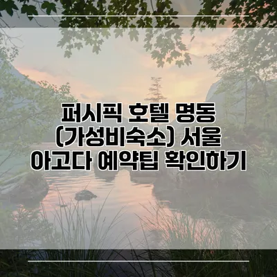 퍼시픽 호텔 명동 (가성비숙소) 서울 아고다 예약팁 확인하기