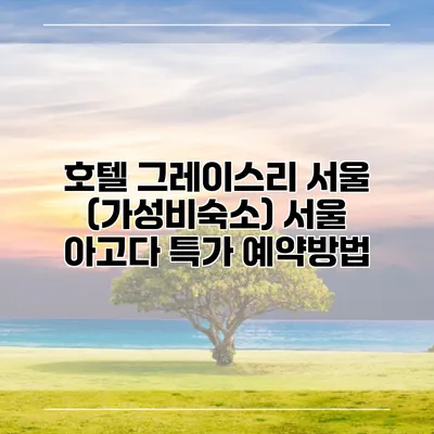 호텔 그레이스리 서울 (가성비숙소) 서울 아고다 특가 예약방법