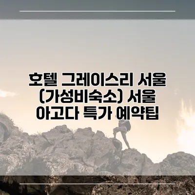 호텔 그레이스리 서울 (가성비숙소) 서울 아고다 특가 예약팁