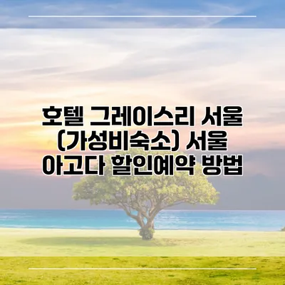 호텔 그레이스리 서울 (가성비숙소) 서울 아고다 할인예약 방법