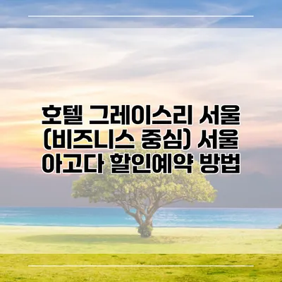 호텔 그레이스리 서울 (비즈니스 중심) 서울 아고다 할인예약 방법