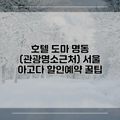 호텔 도마 명동 (관광명소근처) 서울 아고다 할인예약 꿀팁