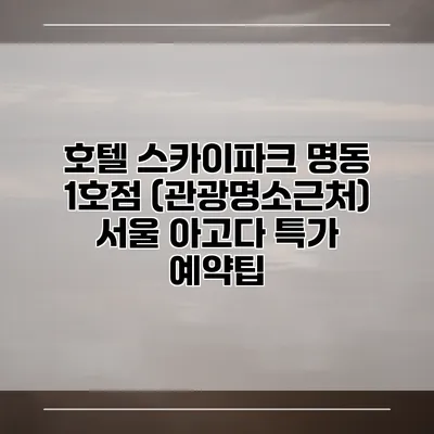 호텔 스카이파크 명동 1호점 (관광명소근처) 서울 아고다 특가 예약팁