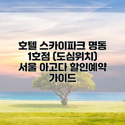 호텔 스카이파크 명동 1호점 (도심위치) 서울 아고다 할인예약 가이드