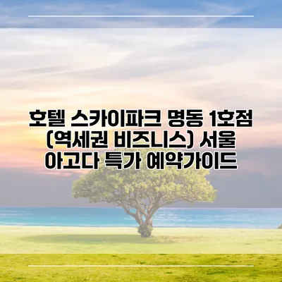 호텔 스카이파크 명동 1호점 (역세권 비즈니스) 서울 아고다 특가 예약가이드