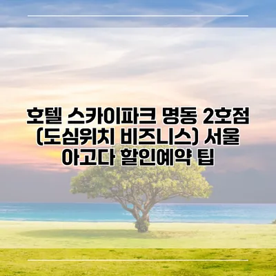호텔 스카이파크 명동 2호점 (도심위치 비즈니스) 서울 아고다 할인예약 팁