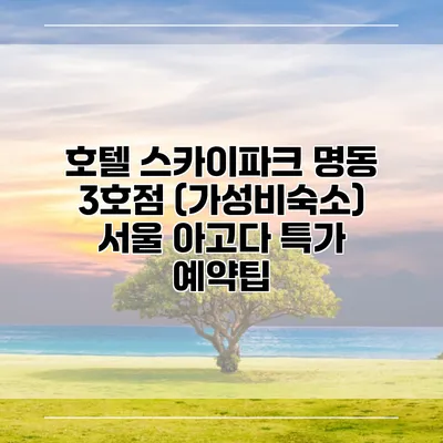 호텔 스카이파크 명동 3호점 (가성비숙소) 서울 아고다 특가 예약팁